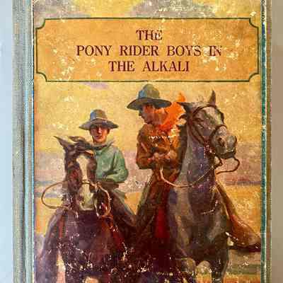 The Pony Rider Boys in the Alkali