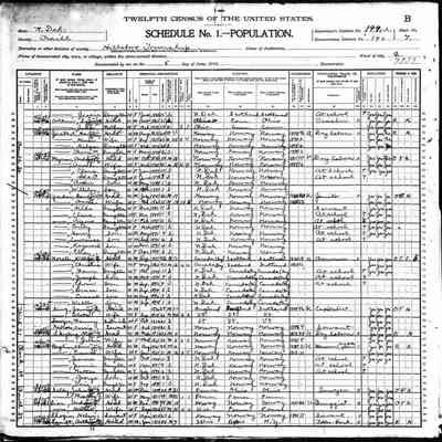 1900 US Census, City of Hillsboro, Traill County, ND, courtesy ancestry.com: Lars and Anna Gordon with eight children