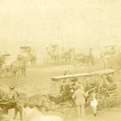 Horse & Buggies