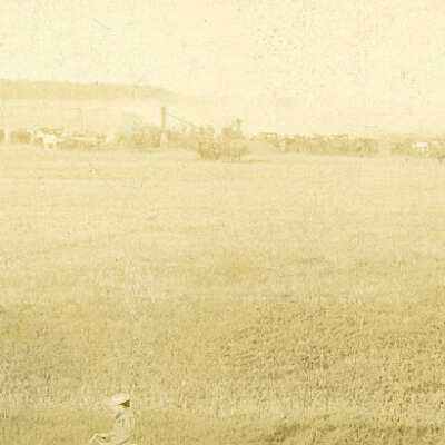 Farm Scene