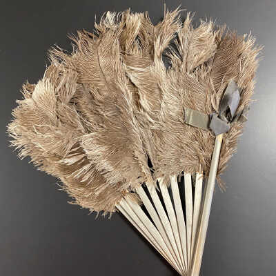 Feather Hand Fan