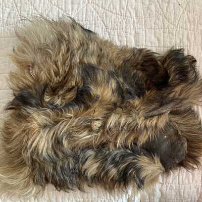 Fur Mittens