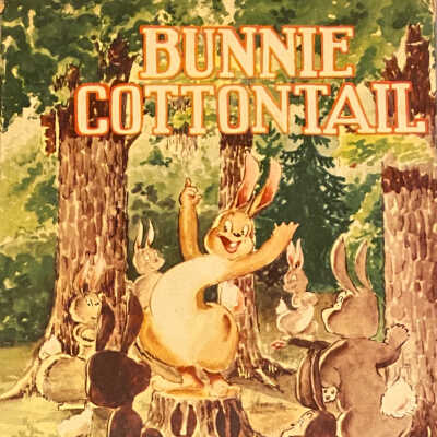 Bunnie Cottontail Children’s Book