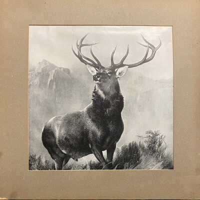 Print - "Monarch of the Glen"