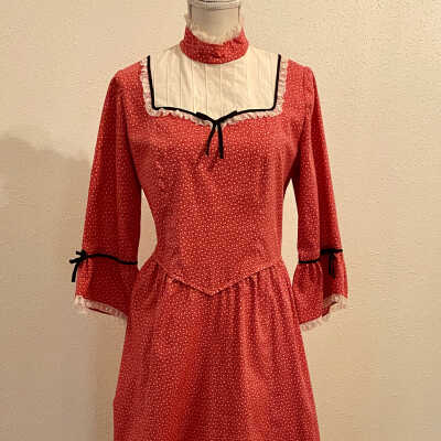 Replica Pioneer Dress and Bonnet