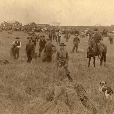 Upson Farm Threshing Crew, Cummings, ND