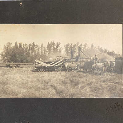 Threshing - Andrew O. Harstad, Hillsboro, ND