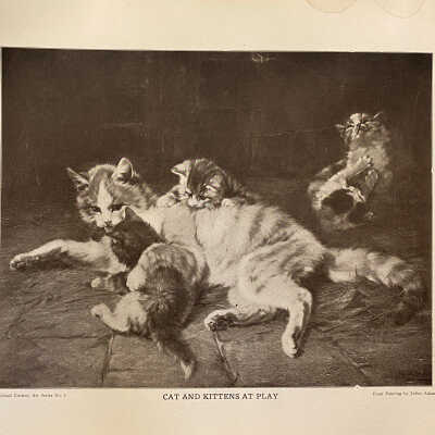School Century Art Series No. 1 - "Cat and Kittens at Play"