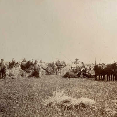 Amb Threshing