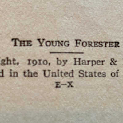 The Young Forester by Zane Grey