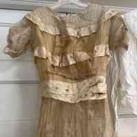 Edwardian Sheer Silk Lingerie Dress