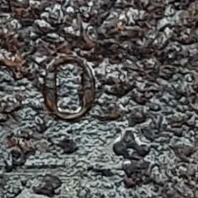 B & CO 1881: Bailey & Company, Philadelphia?