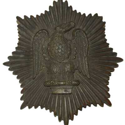 Example of eagle mounted on sunburst plate.: Not in collection!  Image downloaded from internet as example only.  Eagle does seem to be made from this die though.