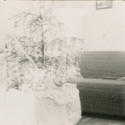 2022.098.002 Selection: Black and white photograph of a Christmas Tree in front of a couch