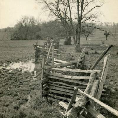 Wooden Fence