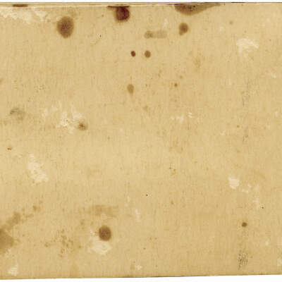 2020.442.001 Verso