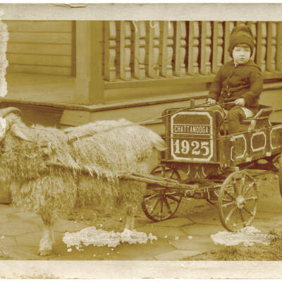 Boy and Goat Cart