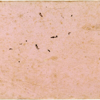 2020.445.002 Verso