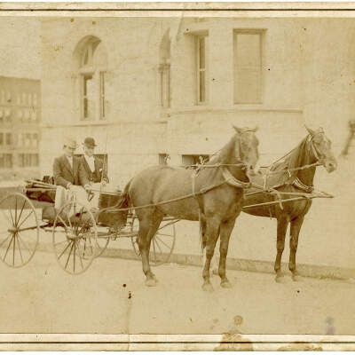 Horses and Buggy