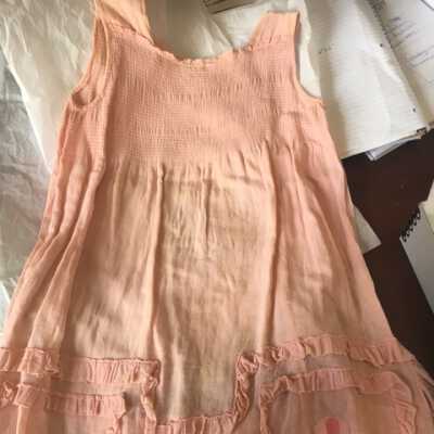Reber Dress and Family books