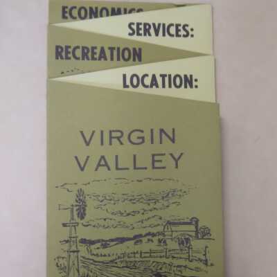 Virgin Valley An Oasis in the Desert