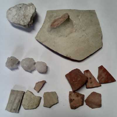 Pottery Shards