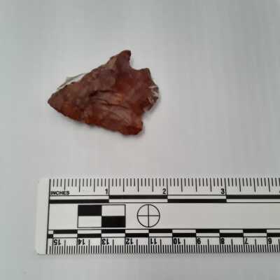 Mohigan Arrowhead