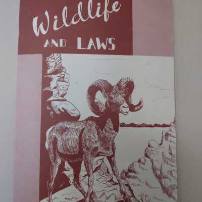 NV Wildlife and Laws