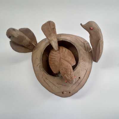 Bird Nest
