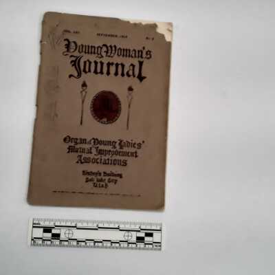 Young Woman's Journal