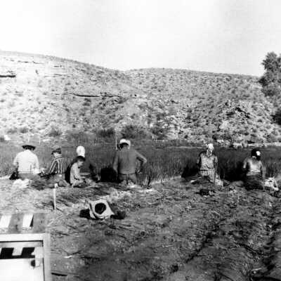 Navajos Farming
