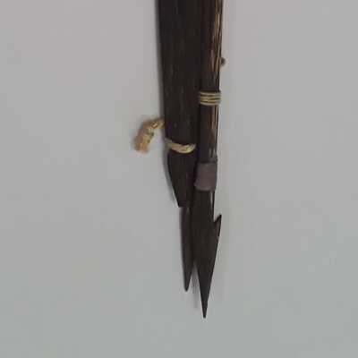 Bark of Llachama