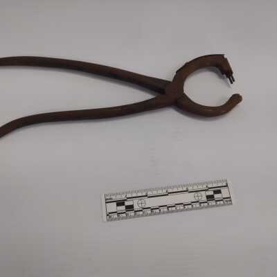 Reber Ear Tag