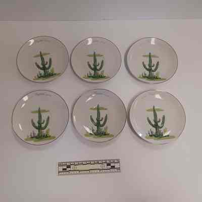 Arizona "Laguaro" Cactus Saucer