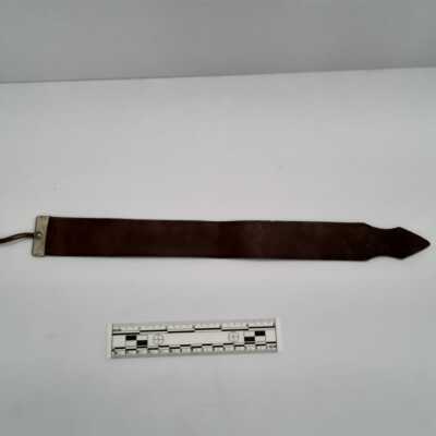 Shaving Strap