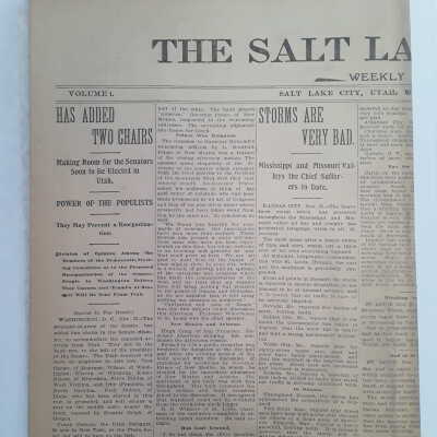 Salt Lake Herald;1895
