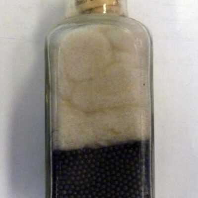 Bottle