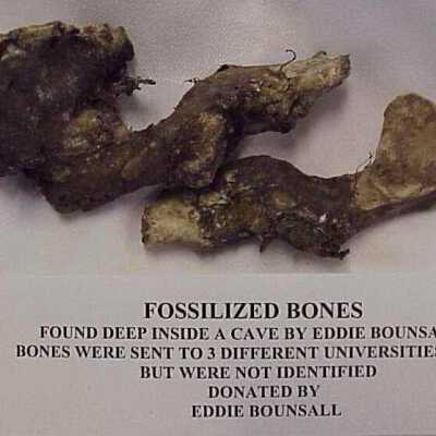 Fossil