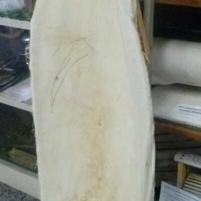 Ironing Board