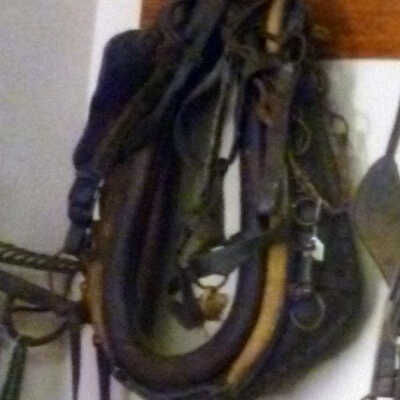 Horse Collar (Leather)
