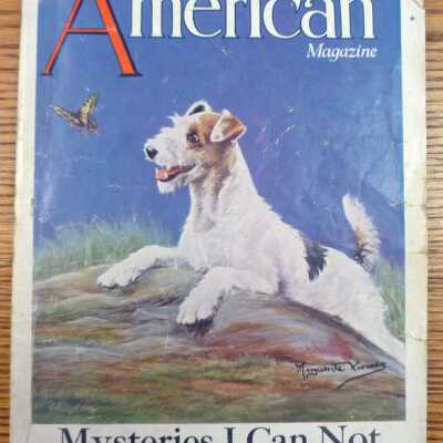 The American Magazine - 1926