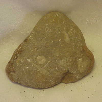 Geospecimen