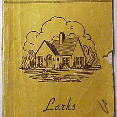 Home Builders Lessons for Larks
