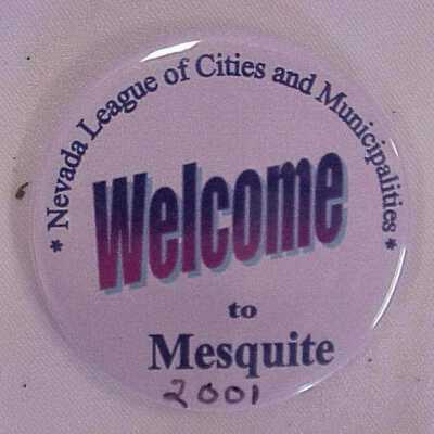 Badge, Political