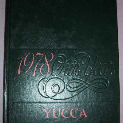 Yucca