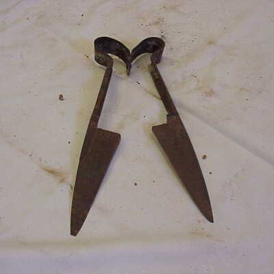 Shears, Sheep