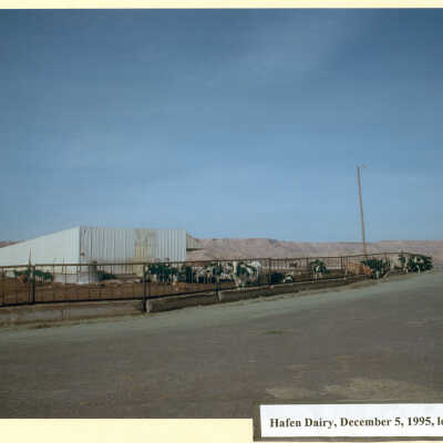 Hafen Dairy