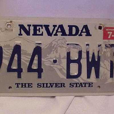 Plate, license