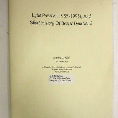 Lytle Preserve (1985-1995),And Short history of Beaver Dam Wash