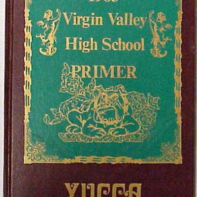 Virgin Valley High School Primer